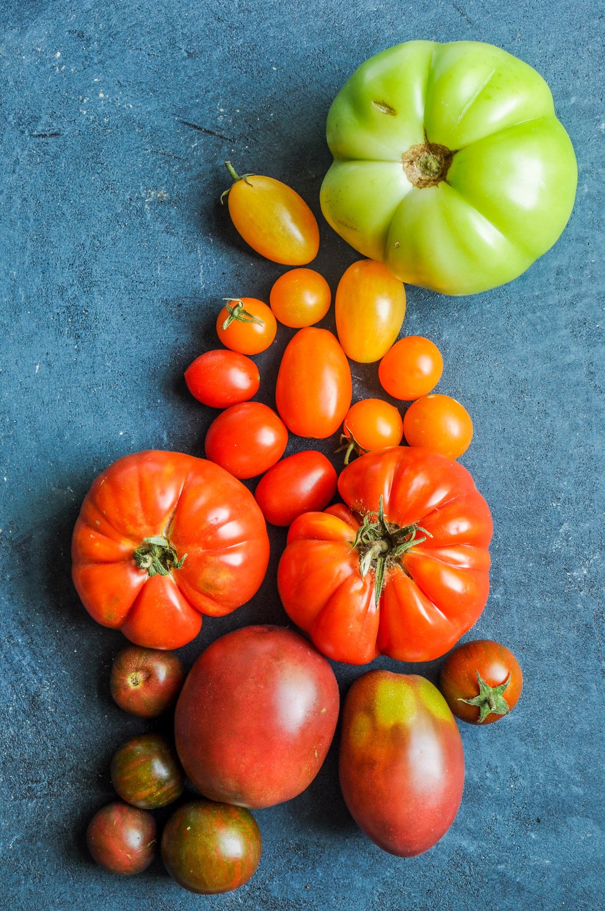 Assortimento di pomodori su un telo blu